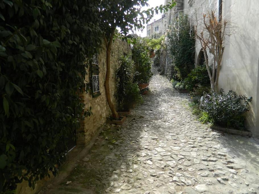 Appartamento Casa Dell'Oliveto "Parcheggio Gratuito" Narni Esterno foto