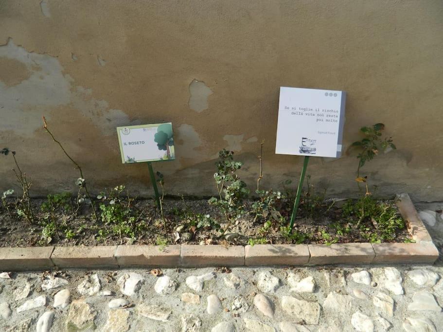 Appartamento Casa Dell'Oliveto "Parcheggio Gratuito" Narni Esterno foto