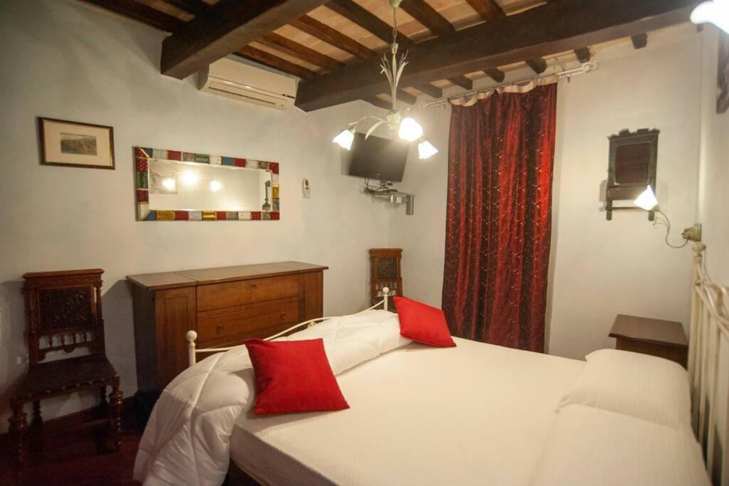 Appartamento Casa Dell'Oliveto "Parcheggio Gratuito" Narni Esterno foto