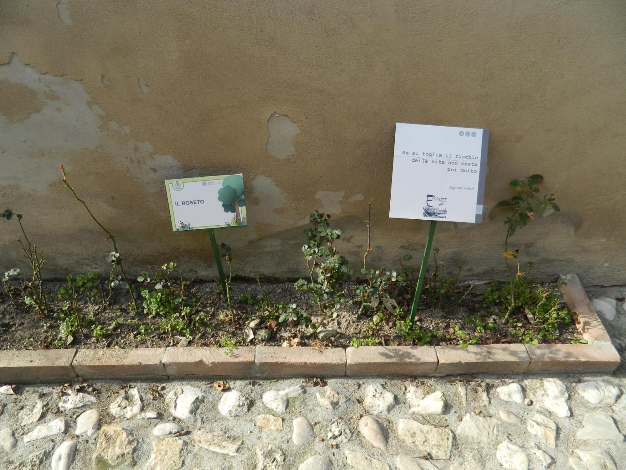 Appartamento Casa Dell'Oliveto "Parcheggio Gratuito" Narni Esterno foto